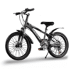 Kids Mountain Bike with Disc Brakes – 20 Inch