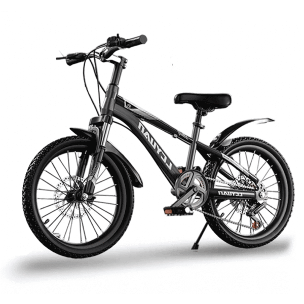 Kids Mountain Bike with Disc Brakes – 20 Inch