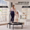 Fitness Trampoline with Armrest