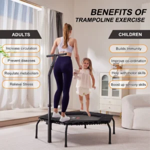 cn-11134207-7r98o-lyk8jue4i4c3c7.webp Fitness Trampoline with Armrest