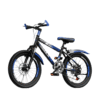Kids Mountain Bike with Disc Brakes – 20 Inch