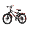 Kids Mountain Bike with Disc Brakes – 20 Inch